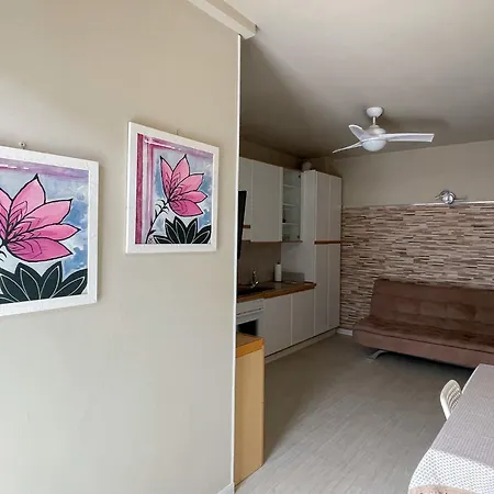 Apartment Antonella's Center Town Valbrona